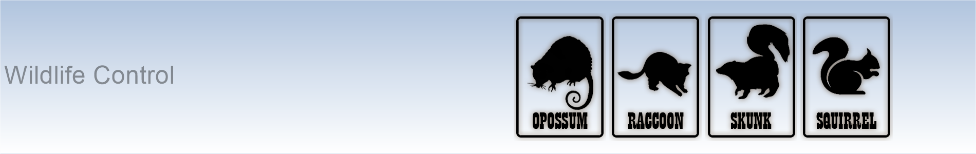 Wildlife | Raccoon | Opossum | Possum | Skunk | Squirrel | Long Island | Wood | House | Spray | Remove | Control | Long Island Pest Control | New York | Animals | Rid | Pests | Nassau County | Home |